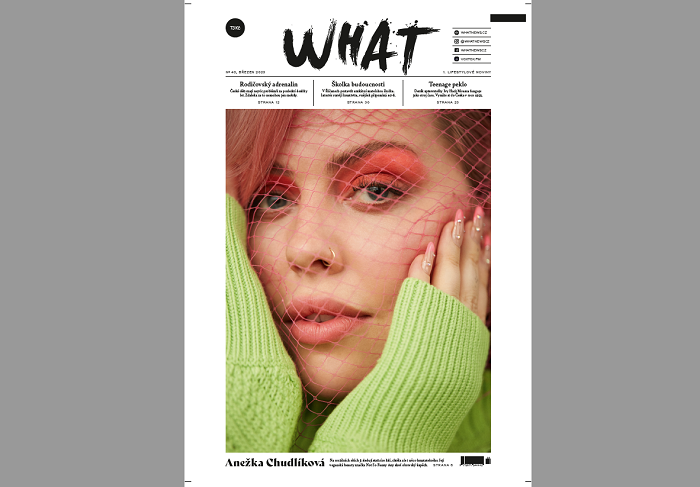 /media/24036/what_cover