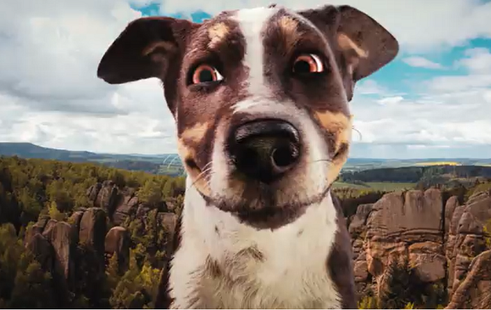 /media/25388/seznam-pes