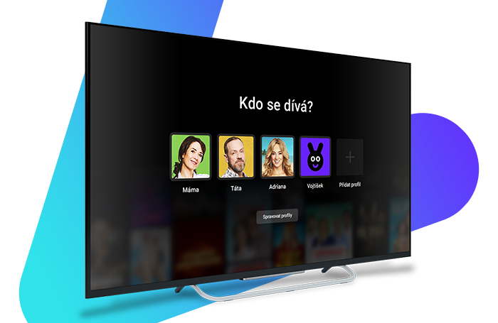 /media/gcvjrpyb/voyo_uzivatelske-profily