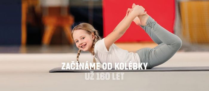 /media/20178/sokol_3