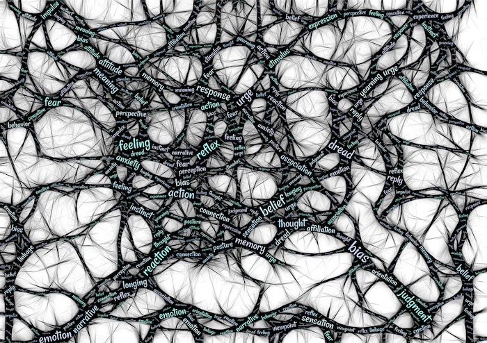 /media/10550/mindset_pixabay