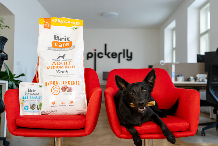 /media/25994/pickerly-vafo