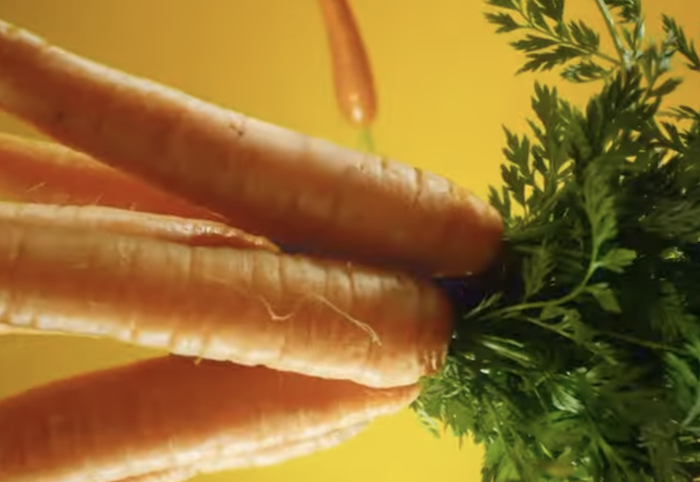 /media/s5hh2y4z/billa_cerstvostjeradost