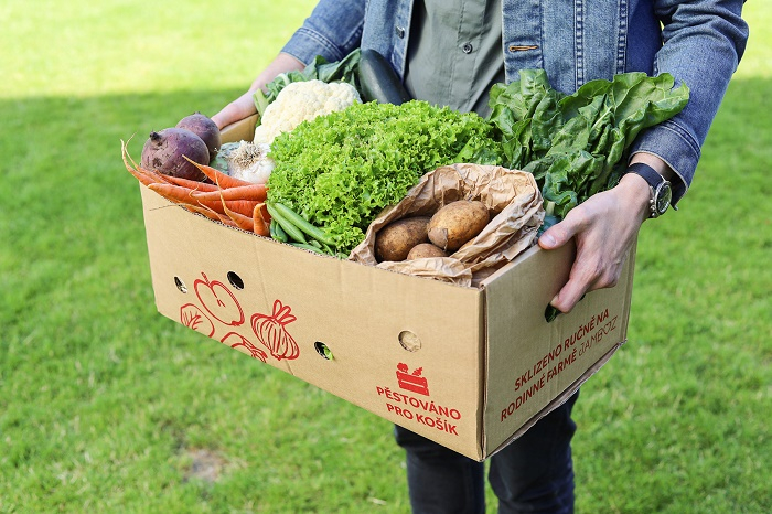 /media/13362/kosik_bedynka2