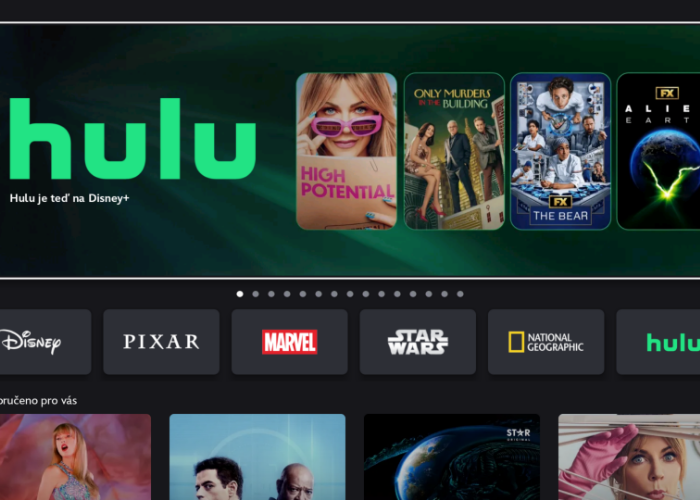 /media/wgqjqzkk/hulu-v-disney