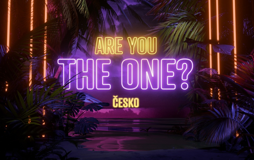 Are you the one