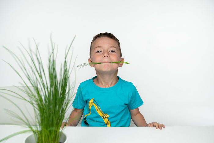 /media/15631/bylinky_03