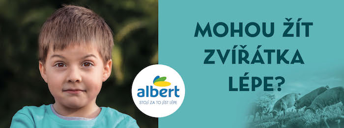 /media/20779/albert_wakeup