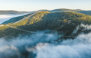 /media/20817/sky_bridge_dolní_morava_2