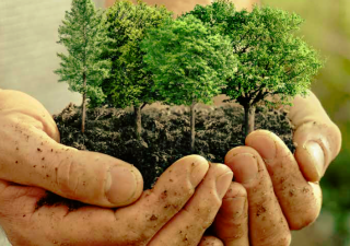 /media/16066/bauhaus_slider