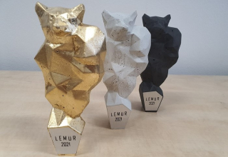 /media/17234/lemur2021