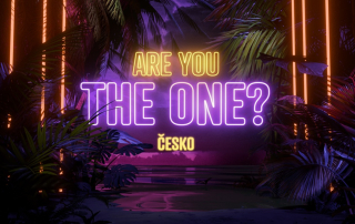 Are you the one